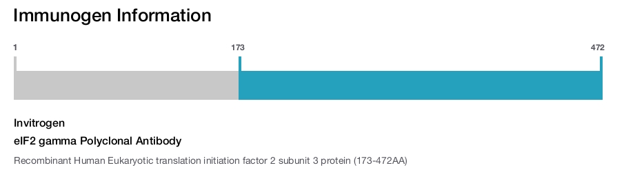 eIF2 gamma Polyclonal Antibody
