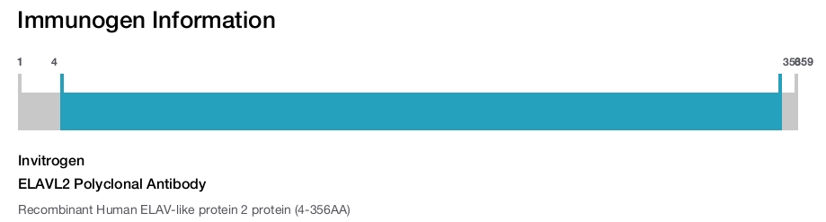ELAVL2 Polyclonal Antibody