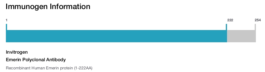 Emerin Polyclonal Antibody