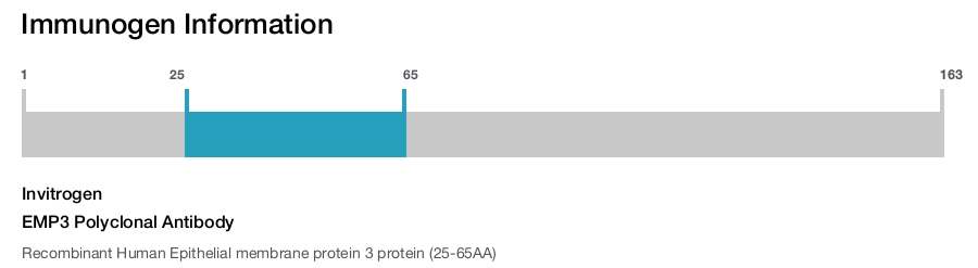 EMP3 Polyclonal Antibody