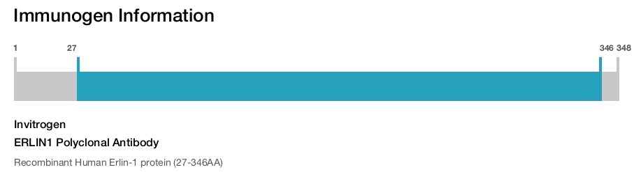 ERLIN1 Polyclonal Antibody