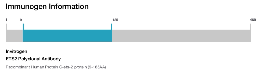 ETS2 Polyclonal Antibody
