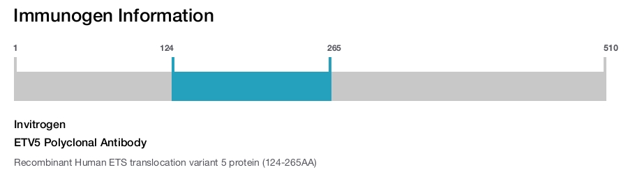 ETV5 Polyclonal Antibody