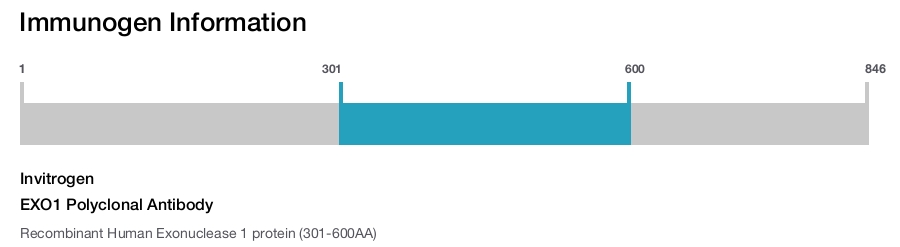 EXO1 Polyclonal Antibody