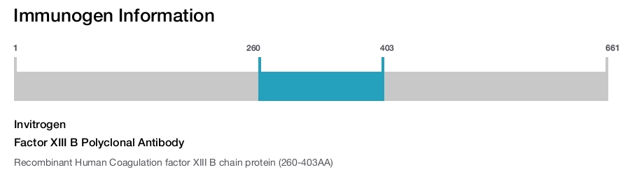 Factor XIII B Polyclonal Antibody