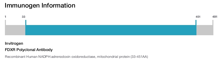 FDXR Polyclonal Antibody
