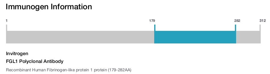 FGL1 Polyclonal Antibody