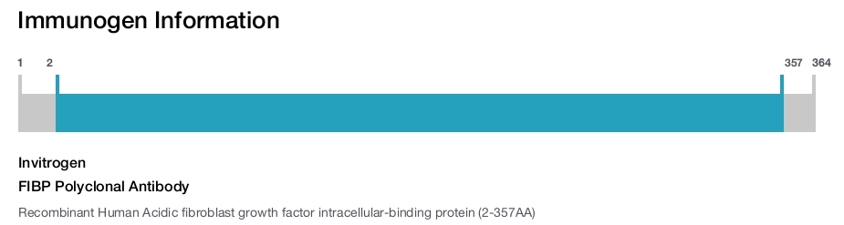 FIBP Polyclonal Antibody