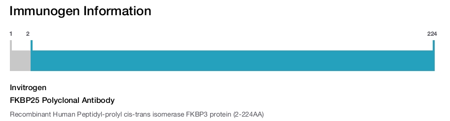 FKBP25 Polyclonal Antibody