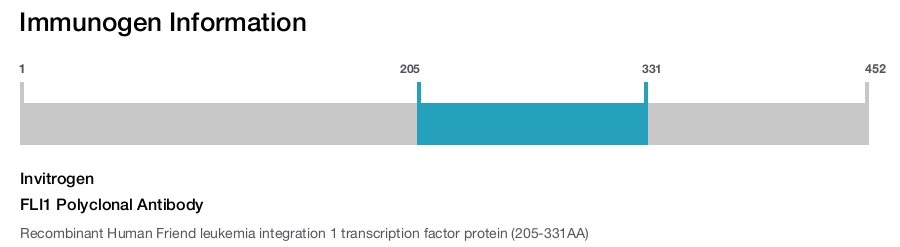 FLI1 Polyclonal Antibody