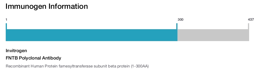 FNTB Polyclonal Antibody