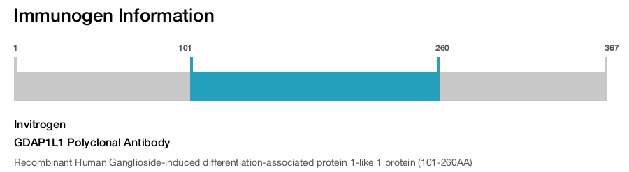 GDAP1L1 Polyclonal Antibody