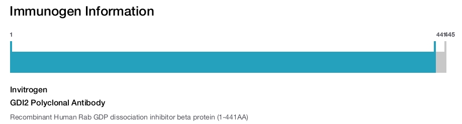 GDI2 Polyclonal Antibody