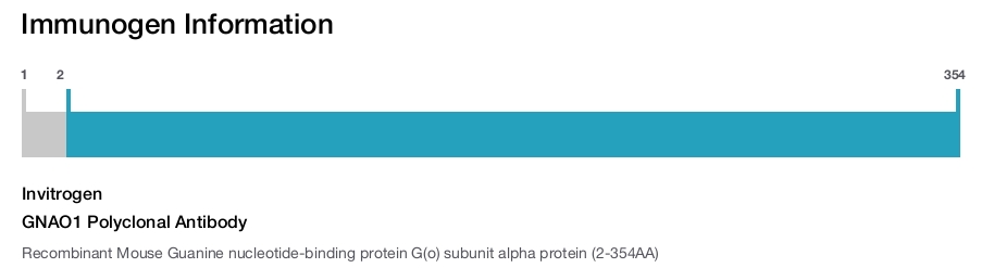 GNAO1 Polyclonal Antibody