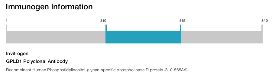 GPLD1 Polyclonal Antibody