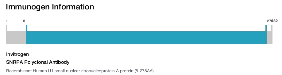 SNRPA Polyclonal Antibody