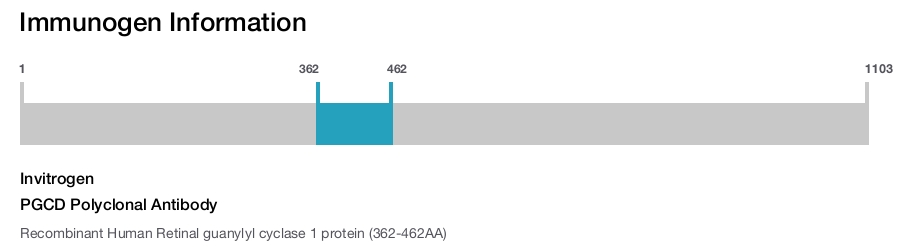 PGCD Polyclonal Antibody