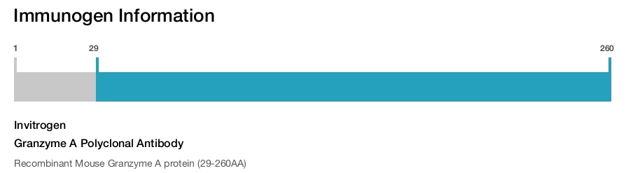 Granzyme A Polyclonal Antibody