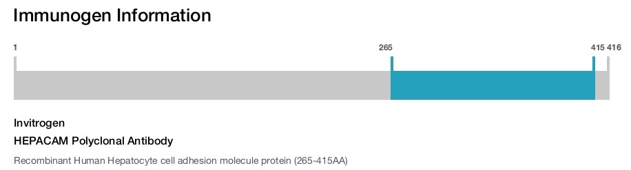 HEPACAM Polyclonal Antibody