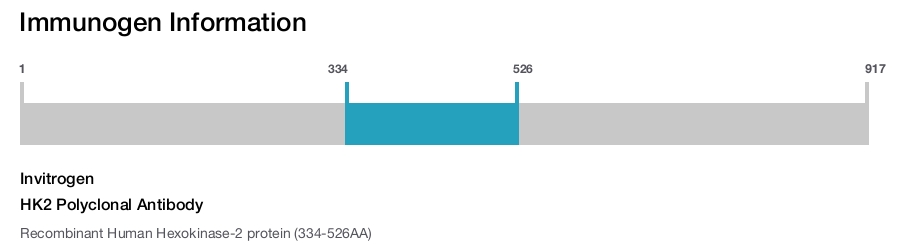 HK2 Polyclonal Antibody