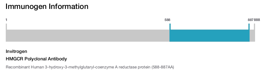 HMGCR Polyclonal Antibody