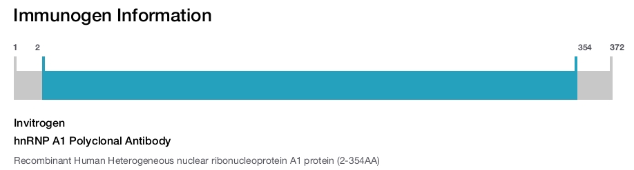 hnRNP A1 Polyclonal Antibody