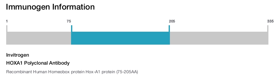 HOXA1 Polyclonal Antibody