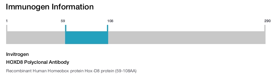 HOXD8 Polyclonal Antibody