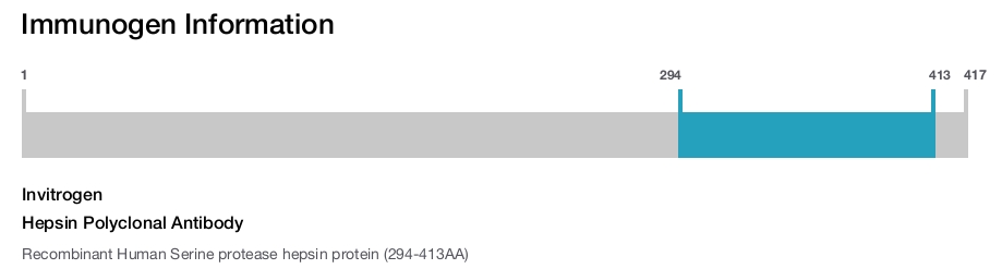 Hepsin Polyclonal Antibody