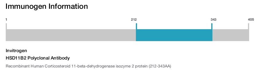 HSD11B2 Polyclonal Antibody