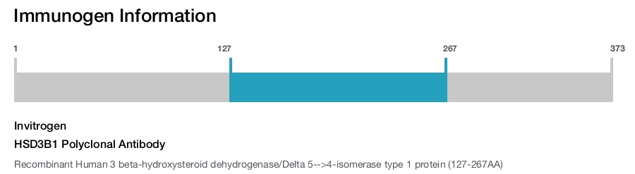HSD3B1 Polyclonal Antibody