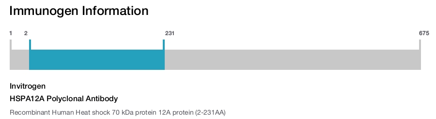 HSPA12A Polyclonal Antibody