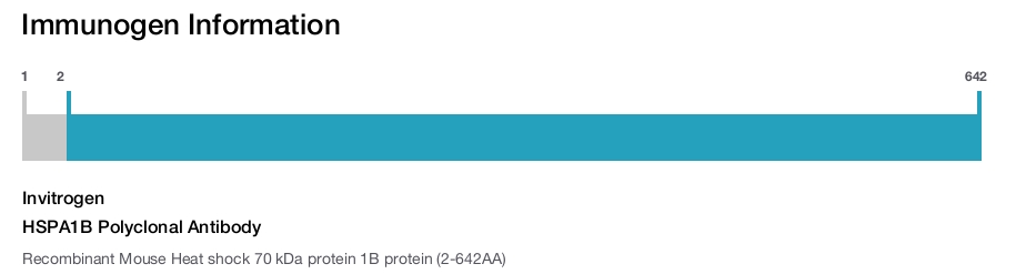 HSPA1B Polyclonal Antibody
