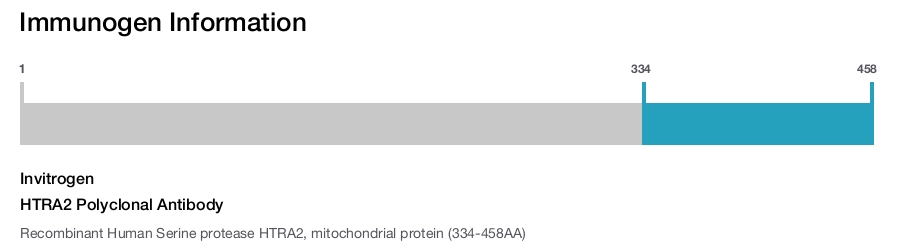HTRA2 Polyclonal Antibody
