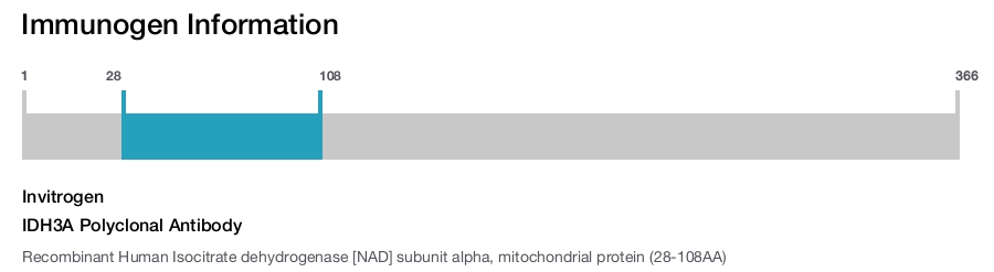 IDH3A Polyclonal Antibody