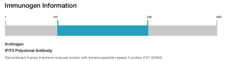 IFIT5 Polyclonal Antibody