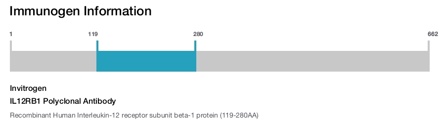 IL12RB1 Polyclonal Antibody
