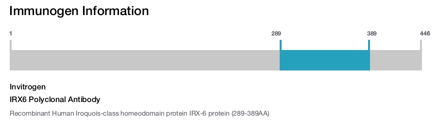 IRX6 Polyclonal Antibody