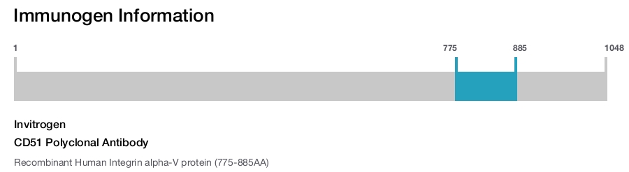 CD51 Polyclonal Antibody