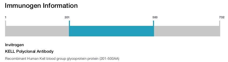 KELL Polyclonal Antibody