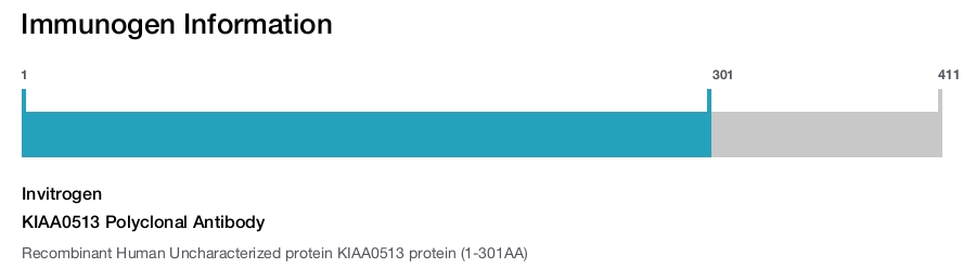 KIAA0513 Polyclonal Antibody