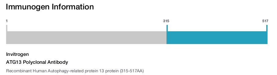ATG13 Polyclonal Antibody