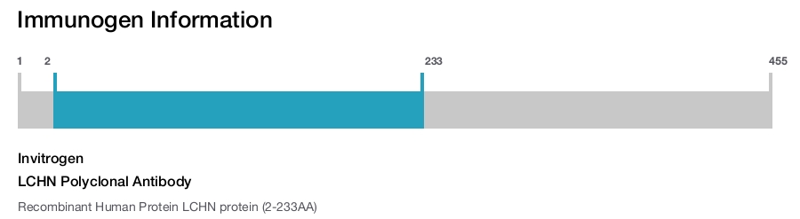 LCHN Polyclonal Antibody