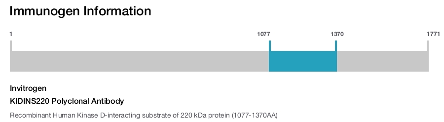 KIDINS220 Polyclonal Antibody