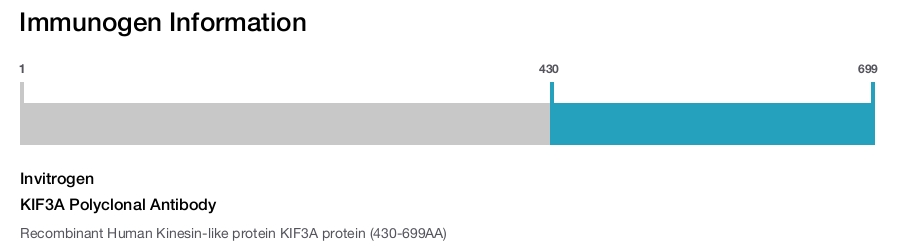 KIF3A Polyclonal Antibody