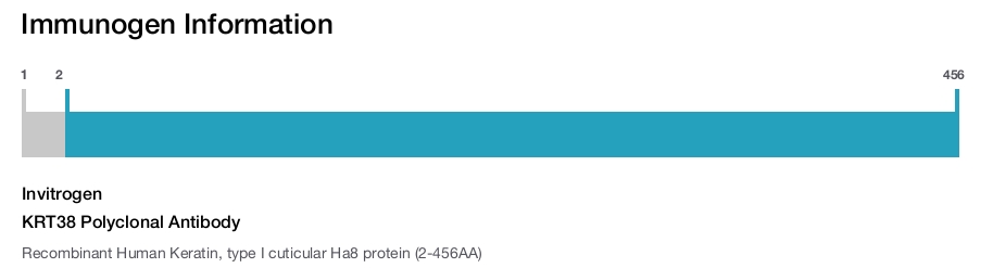 KRT38 Polyclonal Antibody
