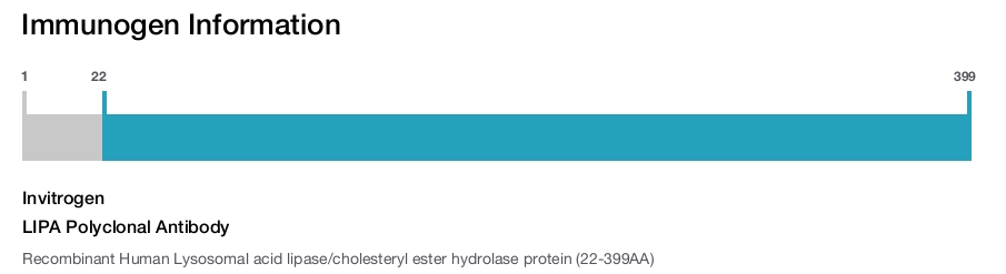LIPA Polyclonal Antibody