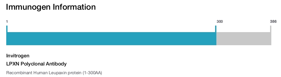 LPXN Polyclonal Antibody