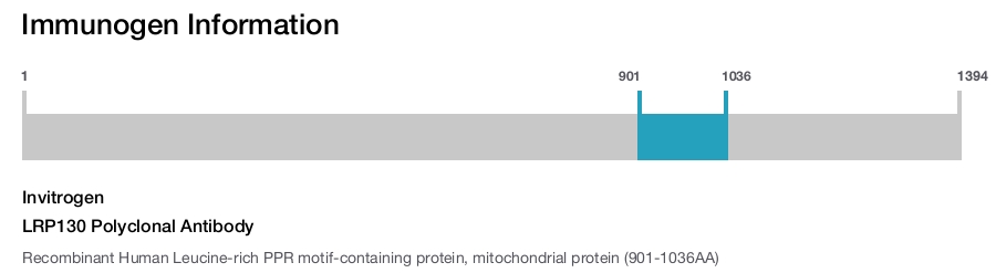 LRP130 Polyclonal Antibody