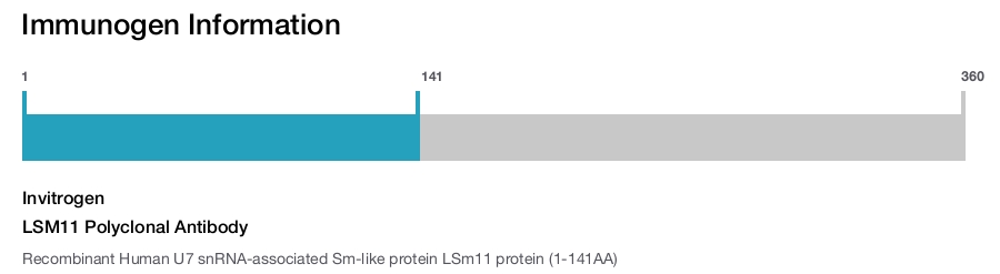 LSM11 Polyclonal Antibody